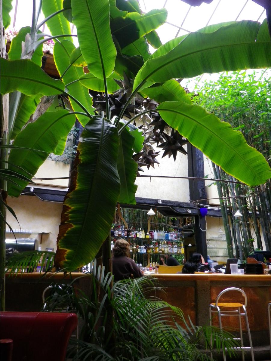 San Cristobal44